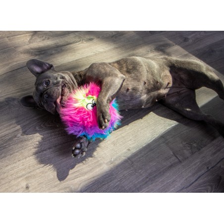 Jucarie goDog™ Furballz Rainbow S pentru caini