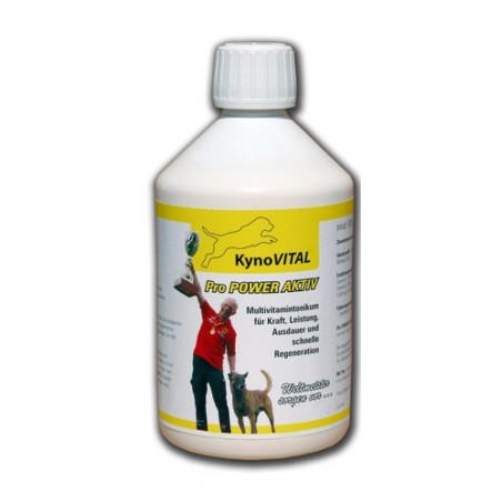 Supliment profesional KynoVital Pro Power Aktiv 500 g pentru caini activi