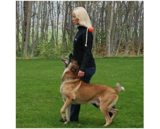 Set profesional Top-Matic Profi Set Orange pentru dresaj canin