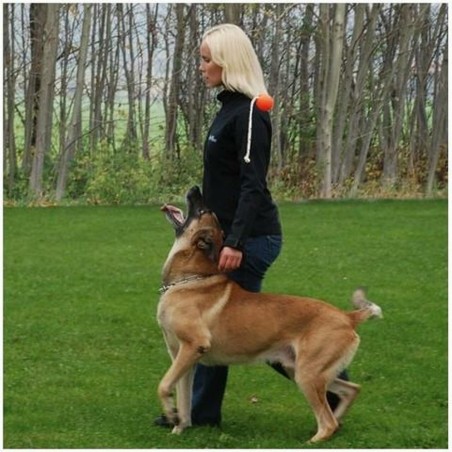 Set profesional Top-Matic Profi Set Orange pentru dresaj canin