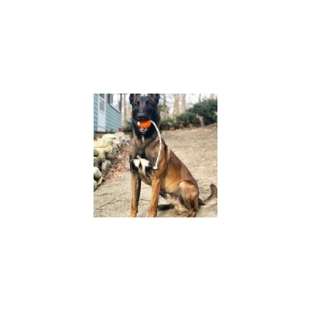 Set profesional Top-Matic Profi Set Orange pentru dresaj canin