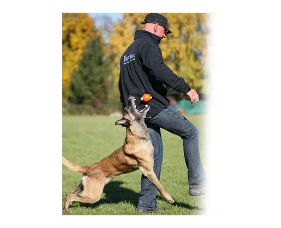 Set profesional Top-Matic Profi Set Soft  Blau pentru dresaj canin