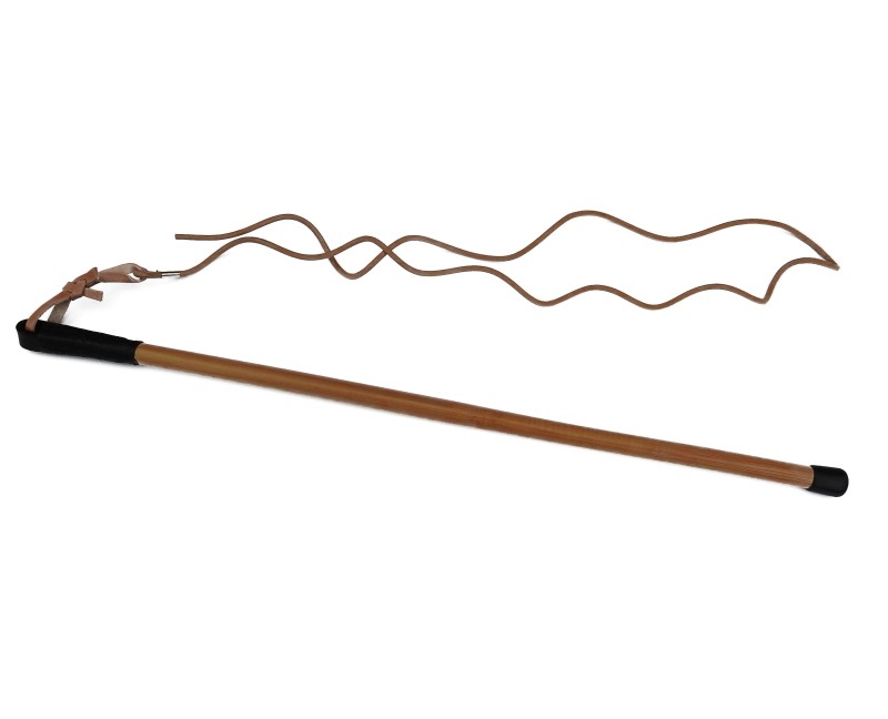 Bici profesional  pentru dresaj canin