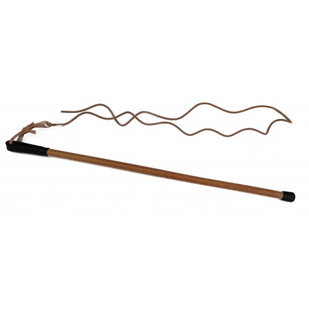 Bici profesional  pentru dresaj canin