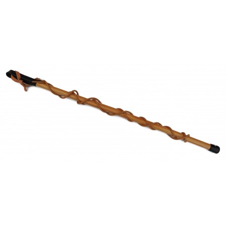 Bici profesional  pentru dresaj canin