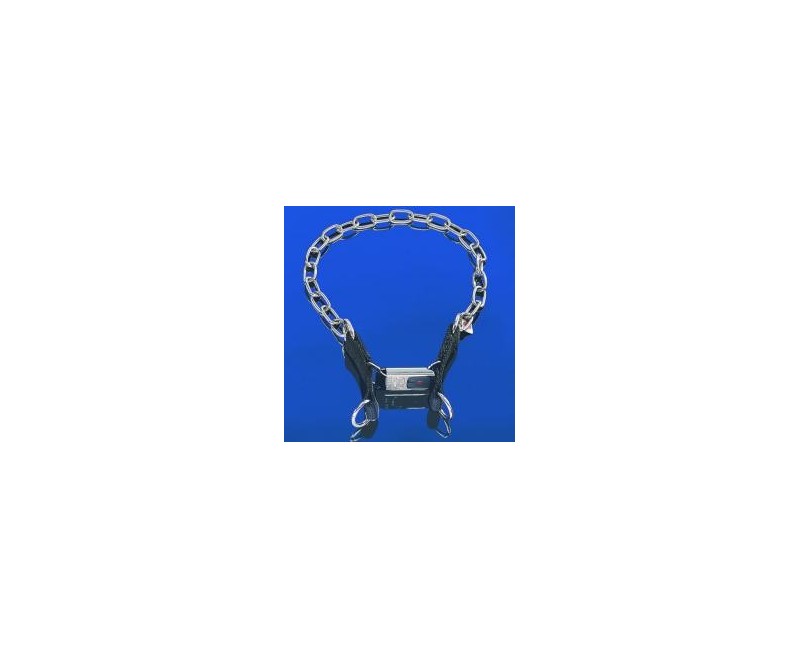 Zgarda Inox prevazuta cu sistem de prindere rapida ClicLock Hermann Sprenger 3 mm