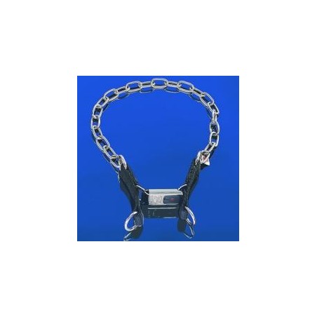 Zgarda Inox prevazuta cu sistem de prindere rapida ClicLock Hermann Sprenger 3 mm
