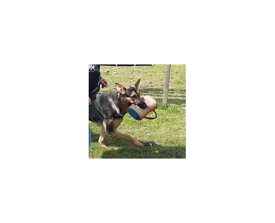 Perna  Bumpy Tug Hard  Euro Joe pentru dresaj canin