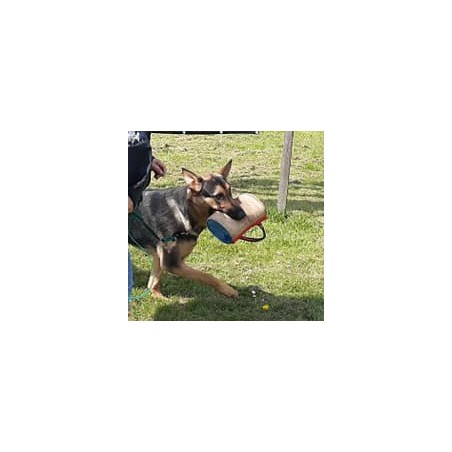 Perna  Bumpy Tug Hard  Euro Joe pentru dresaj canin