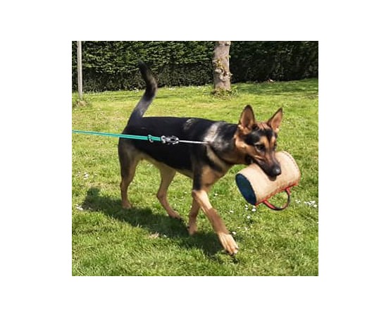 Perna  Bumpy Tug Hard  Euro Joe pentru dresaj canin