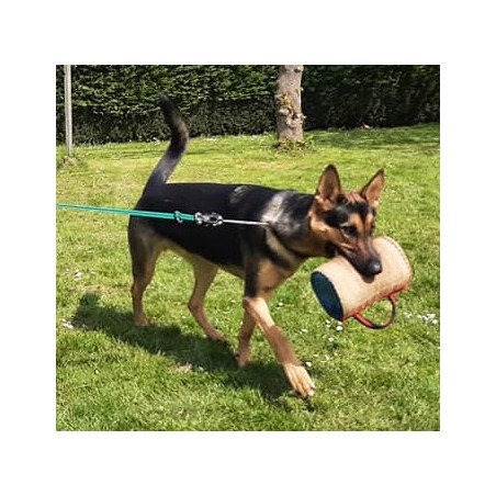 Perna  Bumpy Tug Hard  Euro Joe pentru dresaj canin