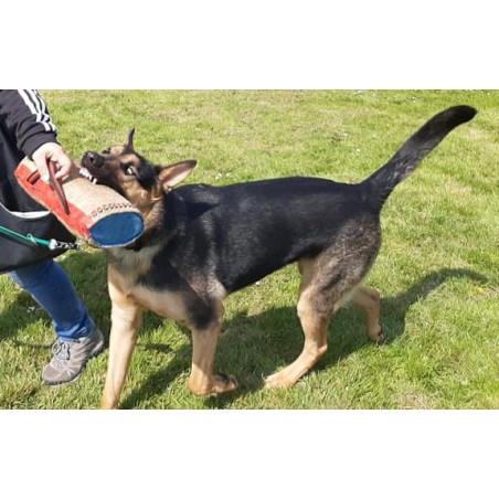 Perna  Bumpy Tug Hard  Euro Joe pentru dresaj canin