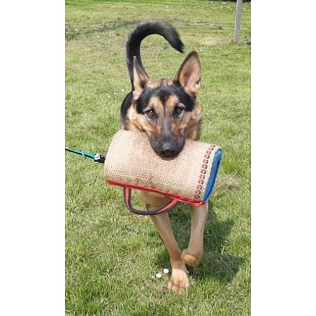 Perna  Bumpy Tug Hard  Euro Joe pentru dresaj canin