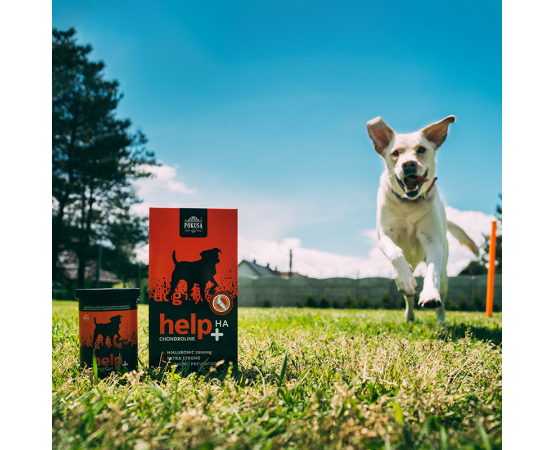 Supliment lichid pentru caini cu probleme osteo-articulare ChondroLine Help + HA 1 L