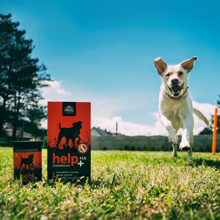 Supliment lichid pentru caini cu probleme osteo-articulare ChondroLine Help + HA 1 L