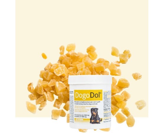 Dogoteka DOGOdol® DOGOTEKA DOGO DOL 45 tablete, caini si pisici DOGOteka România