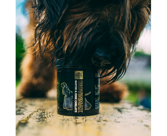 Supliment profesional pentru blana caini BiotinMaxZink