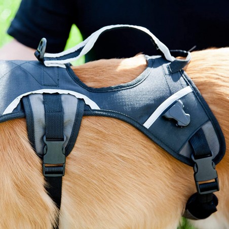 Ham Tip  Rucsac  Back Pack M pentru caini