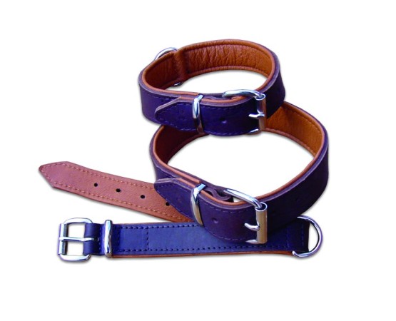 Zgardă de lux pentru caini , din piele naturala