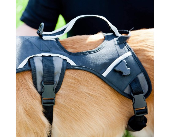 Ham Tip Rucsac Back Pack L pentru caini