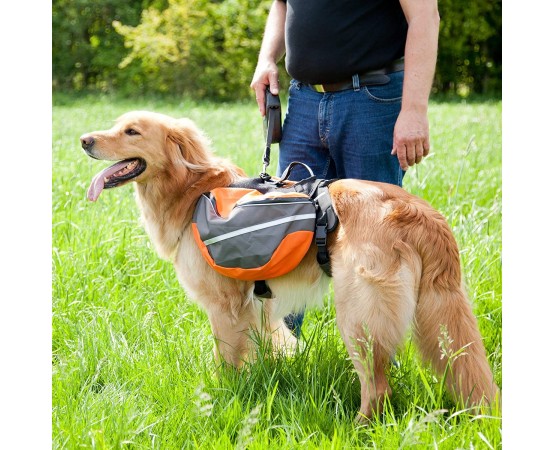 Ham Tip Rucsac Back Pack L pentru caini