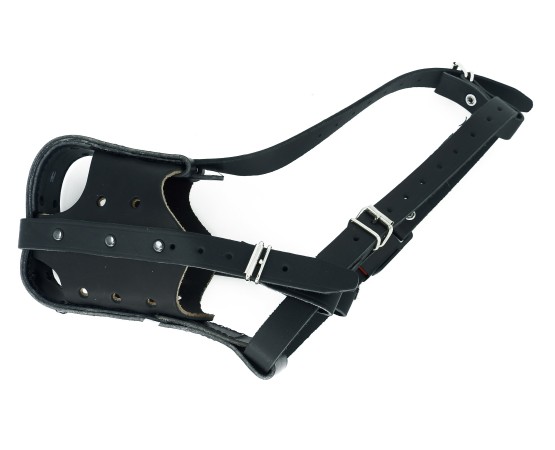 Botnita profesionala de atac  Difac Rottweiler T8