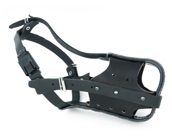 Botnita profesionala de atac  Difac Rottweiler T8