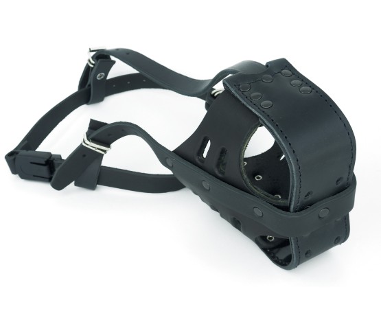 Botnita profesionala de atac  Difac Rottweiler T8