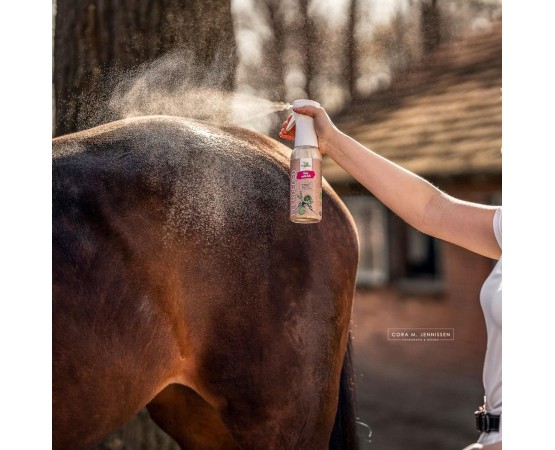 Spray anti insecte DEO Bense & Eicke 100 ml