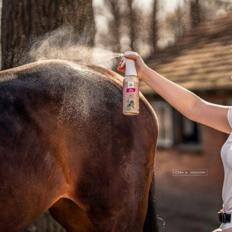 Spray anti insecte DEO Bense & Eicke 100 ml