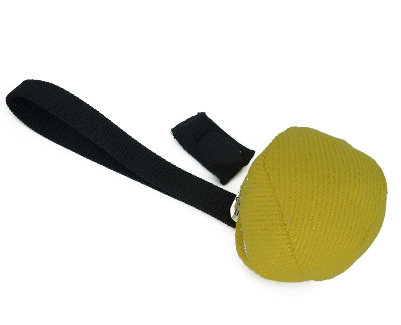 Minge profesionala cu magnet BOLT Magnetic material francez pentru dresaj canin