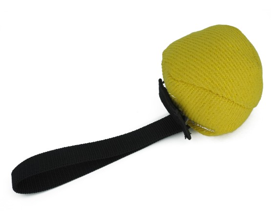 Minge profesionala cu magnet BOLT Magnetic material francez pentru dresaj canin