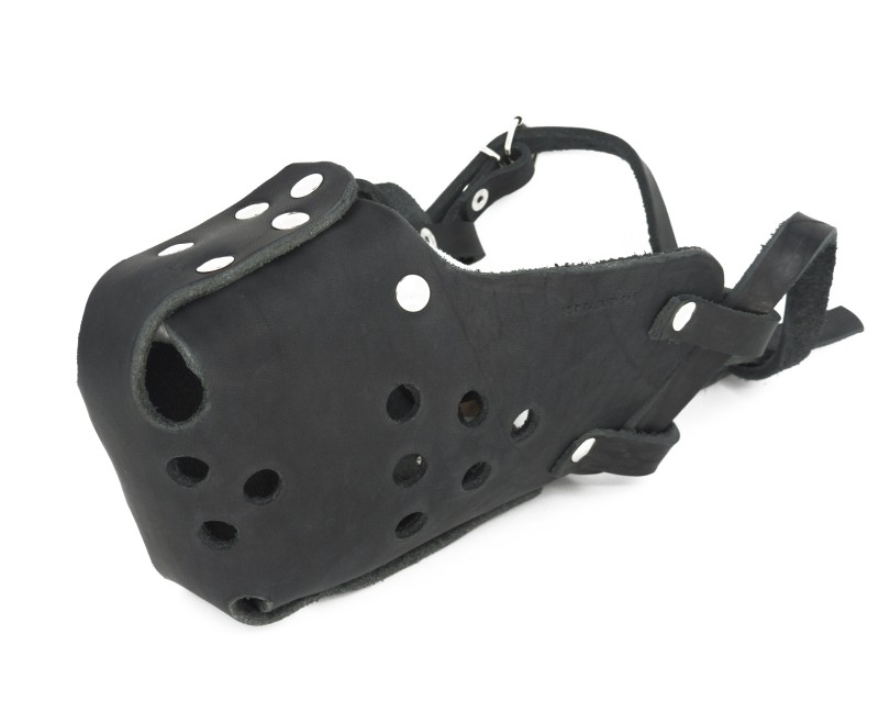 Botnita profesionala Huspol Femela Ciobanesc German / Malinois