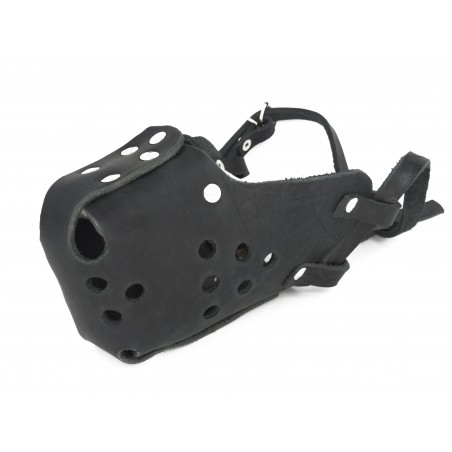 Botnita profesionala Huspol Femela Ciobanesc German / Malinois