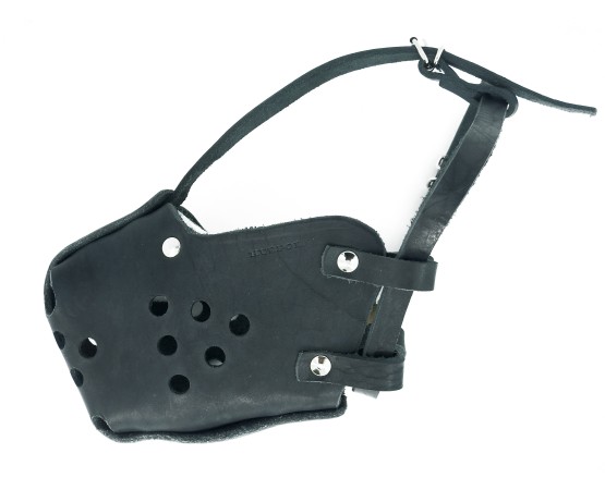 Botnita profesionala Huspol Femela Ciobanesc German / Malinois