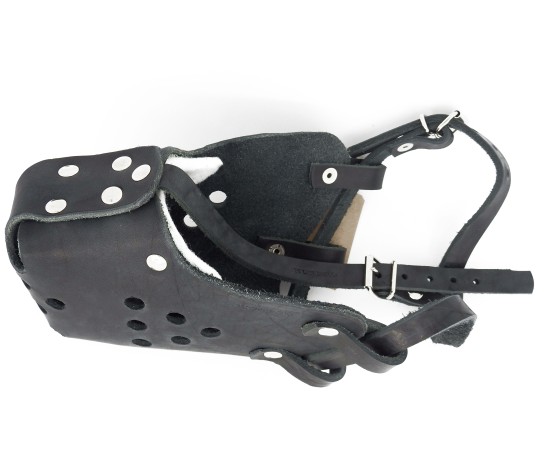 Botnita profesionala Huspol Femela Ciobanesc German / Malinois