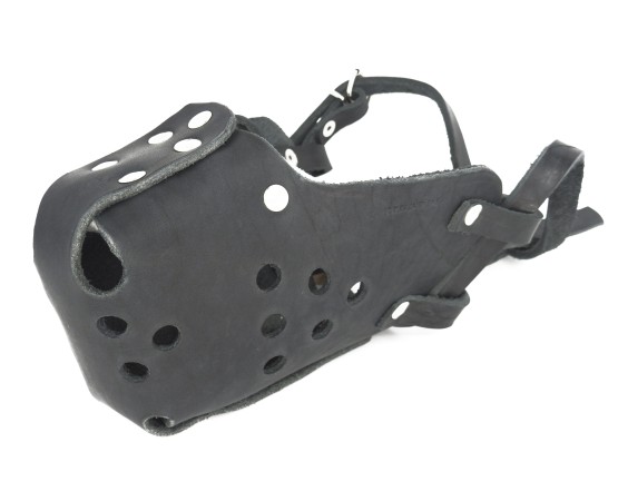 Botnita profesionala Huspol Femela Ciobanesc German / Malinois