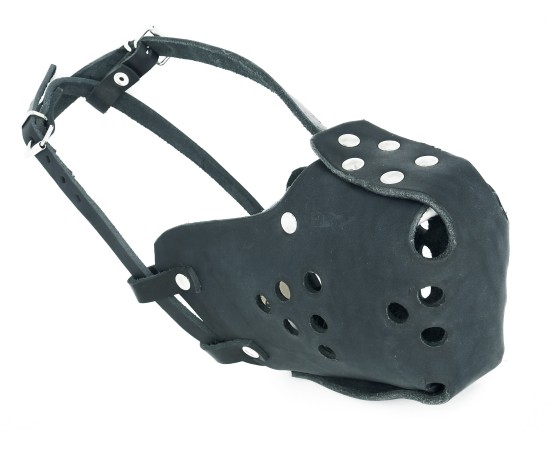 Botnita profesionala Huspol Ciobanesc German