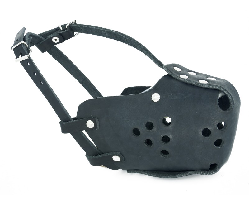 Botnita profesionala Huspol Ciobanesc German