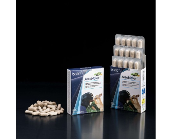 Supliment profesional alimentar Balto ARTONOVA