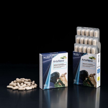 Supliment profesional alimentar Balto ARTONOVA