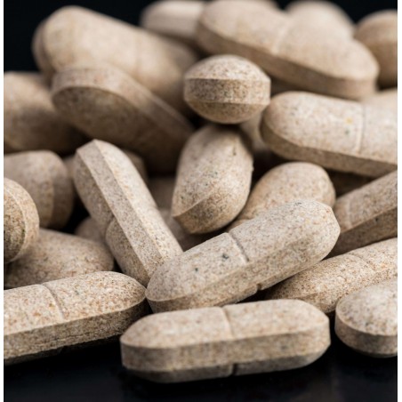 Supliment profesional alimentar Balto ARTONOVA