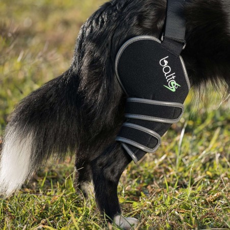 Dispozitiv profesional Balto SPORT AGILE dreapta