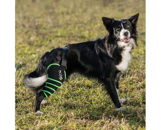 Dispozitiv profesional Balto SPORT AGILE stanga