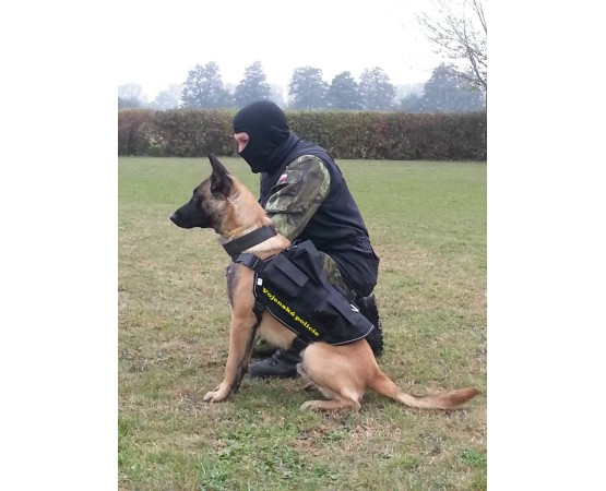 Ham profesional Huspol Elite pentru caini