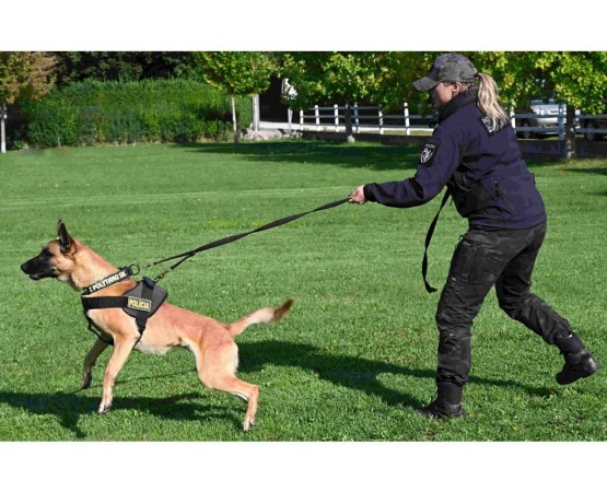 Lesa profesionala dubla PATROL Z Polytanu SK pentru caini