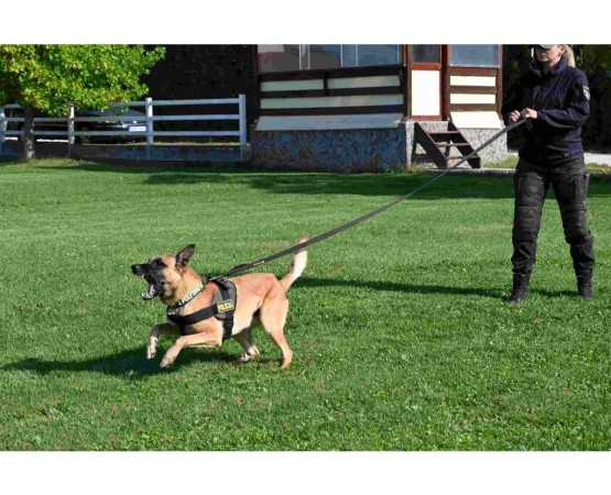 Lesa profesionala dubla PATROL Z Polytanu SK pentru caini