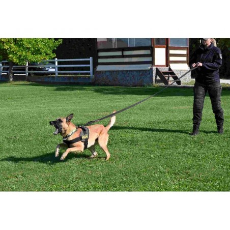 Lesa profesionala dubla PATROL Z Polytanu SK pentru caini