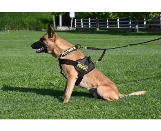 Lesa profesionala dubla PATROL Z Polytanu SK pentru caini