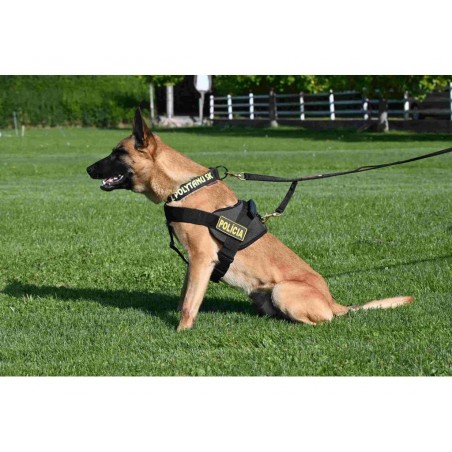 Lesa profesionala dubla PATROL Z Polytanu SK pentru caini